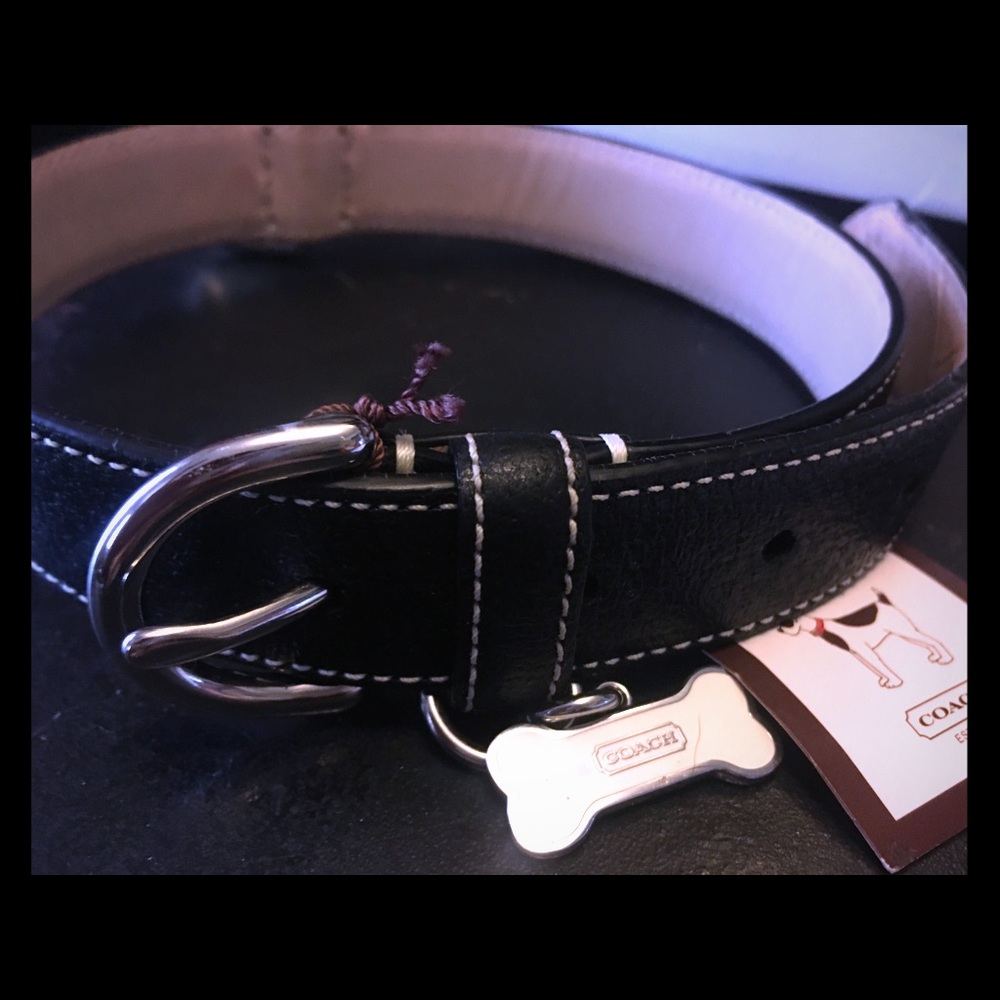 Coach Dog Collar